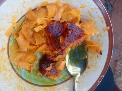 A plate holds a meal, seemingly outdoors. Light orange, irregularly shaped chips surround dark, almost burnt, square pieces of food. A tarnished silver spoon rests on the plate. The plate has a white base with a blue-green pattern and a brown rim. The background is blurred, showing hints of nature.