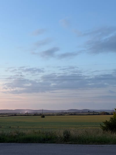 This is a vertical, eye-level, full shot of a rural landscape at dusk. The scene is dominated by a vast expanse of pale blue sky with scattered, wispy clouds. Several dark power lines stretch horizontally across the middle ground of the image, dividing the sky from the land.
Below the power lines, a wide, green field stretches to the horizon. The field is patterned with horizontal lines, suggesting it has been recently cultivated or mowed. In the distance, rolling hills form a gentle silhouette against the fading light. A few scattered trees and a solitary utility pole punctuate the landscape. In the far distance, a faint industrial structure is visible, with a plume of smoke rising from it.
The foreground consists of a gravel road or path, with a strip of tall, dry grass and vegetation bordering the field. The overall atmosphere is serene and quiet, with the soft colors of twilight casting a peaceful glow over the rural setting. The location is identified as Yasenivtsi, Ukraine. There are no people or animals visible in the image.