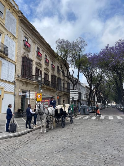 The image depicts a street scene in Jerez De La Frontera, Spain. A cobblestone street is lined with buildings, the most prominent being a multi-story structure adorned with wrought-iron balconies, some of which display red banners with the letters "UCI". Trees with purple flowers canopy the street.
A horse-drawn carriage with white horses stands on the street. A person in formal attire stands near the horses. Another person, also in formal attire, is pulling a suitcase along the street. Other people are visible in the background near parked cars. Traffic signs are mounted on the building.