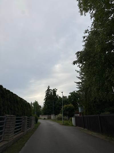 The image depicts a quiet, tree-lined residential street in Tabasalu alevik, Estonia. The sky is overcast, creating a subdued lighting condition. On the left side of the road, there's a tall, dense hedge bordering a property, with a stone and metal fence running along the sidewalk. The road itself is asphalt and curves gently to the right. On the right side, a dark wooden fence is visible, partially obscured by lush green trees. Further down the road, a street lamp stands on the left, and another on the right, indicating a developed area. The overall scene suggests a peaceful suburban or village setting.