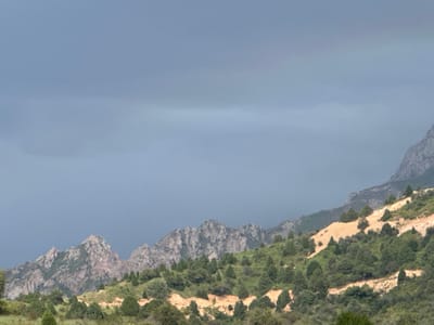 This image depicts a mountainous landscape under a cloudy sky. The foreground features a dense growth of green trees and bushes on a hillside. A scar of light brown, eroded earth cuts diagonally across the mid-ground of the hillside. In the background, jagged, rocky mountain peaks rise above the vegetation. The sky is a muted, overcast gray, with a faint hint of a rainbow visible in the upper right quadrant. The scene appears to be a natural outdoor environment, likely a mountain range.