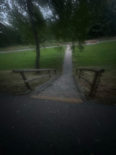 The image depicts a downward sloping view of a paved path that transitions into wooden steps in a park-like setting. A wooden railing runs along the right side of the steps and continues alongside the path. To the left of the steps, a tree trunk is visible, with its branches and leaves obscuring the upper portion of the scene, creating a dappled light effect. Beyond the railing, a grassy area is visible, with a path winding through it further into the background. A park bench is faintly discernible in the distance. The overall atmosphere is subdued, possibly due to overcast weather or the time of day, with muted colors and soft focus. The scene is consistent with an outdoor public space, likely a park or recreational area within a city, given the presence of paved paths and benches. It is not possible to determine the exact location within Ludwigsburg, Germany, from the visual information provided.
