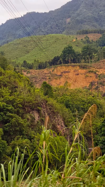 The image depicts a landscape in Minh Tân Commune, Vietnam, characterized by a hillside with varying vegetation levels. In the foreground, tall grasses obscure a portion of the view. A rocky outcrop and dense green foliage are visible mid-ground. The upper portion of the hillside shows areas of both dense green cover and exposed soil. Overhead power lines intersect the scene. In the background, a taller mountain is visible. The sky appears overcast.