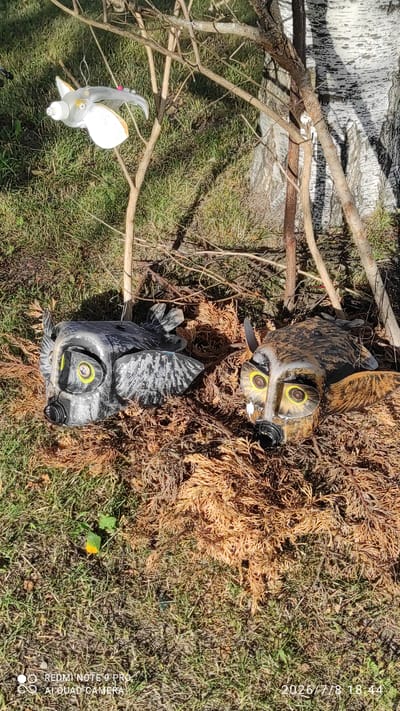 Two artificial owl decoys lie on the ground, one on the left and one on the right. The owl on the left is primarily grey with black markings and yellow eyes. The owl on the right is brown with yellow eyes. Both owls have a black circular opening on their beaks. The owls are situated amidst dried brown foliage and green grass. In the upper left quadrant of the image, a white bird-shaped object made from a plastic bottle is suspended from a branch by a wire. Several thin branches extend across the frame. A section of a tree trunk with white bark and dark markings is visible on the right side of the image. The ground appears to be outdoors, possibly in a park or garden setting. There are no people visible in the image. The lighting suggests it is daytime.