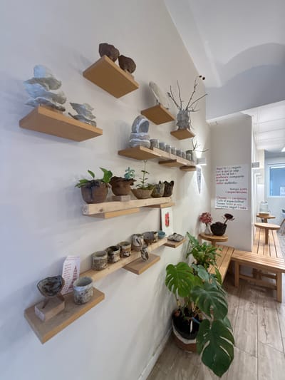 The image depicts the interior of a pottery shop in Mataró, Spain. The shop features white walls and light-colored wooden shelves displaying various ceramic pieces.

On the upper shelves, abstract, light-colored ceramic sculptures are arranged in staggered formations. To the right, a branch with dried seed pods is placed in a textured, gray vase on a shelf.

Further down, several small potted plants in rustic, brown ceramic containers are visible. Below these, a collection of small, patterned ceramic cups or bowls are lined up on a shelf.

On a lower shelf, a unique ceramic sculpture with a base and a separate bowl-like element is displayed next to another textured ceramic vessel. A small piece of paper with red writing is also on this shelf.

In the foreground, a large Monstera plant in a decorative pot is positioned on the tiled floor. Behind the plant, wooden benches and small round tables suggest a seating or display area. A window and a water dispenser are visible in the background. A colorful poster with text in Catalan is mounted on the wall near the plants and benches. The overall impression is one of a handcrafted and artistic retail space.