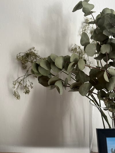 This image depicts a close-up view of dried eucalyptus branches and delicate, small-flowered sprigs arranged in a clear glass vase. The vase rests on a surface that appears to be a wooden shelf or table, partially visible at the bottom of the frame. Behind the vase and foliage is a textured, off-white wall, which casts subtle shadows from the plant material. A dark-framed picture is visible to the right of the vase, its contents blurred. The lighting suggests an indoor environment. The image does not contain any information that would allow for a precise location within the city of Břeclav, Czechia.