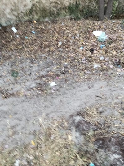 The image depicts an outdoor ground scene in Gombato Bongwe ward, Kenya. The foreground consists of an uneven dirt path, transitioning into an area of sparse dry grass and scattered debris. The midground and background are covered by a dense layer of dry, brown leaves. Dispersed throughout the leaf litter are numerous items of refuse: visible objects include a white, circular disposable plate positioned towards the upper right, a light green plastic bag or wrapper nearby, and multiple smaller fragments of white, blue, and pink plastic or paper debris. In the upper left background, a light-colored wall, possibly stone or concrete, is partially visible, with some green vegetation growing along its base. Towards the upper right background, two dark, vertical tree trunks are discernible amidst the foliage. The overall scene appears to be an unkempt outdoor area. The image itself exhibits motion blur, affecting the clarity of all elements.