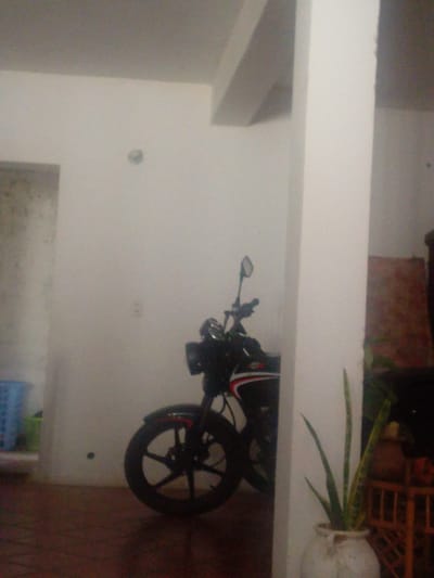 In this media file, a black motorcycle is parked indoors, possibly in a garage or a covered patio area, with its front wheel and part of its body visible. The setting appears to be a residential space, with white walls and a dark tiled floor. To the left of the motorcycle, a blue plastic basket is partially visible, and a green object, possibly another container or plant, is next to it. A tall, white pillar stands to the right of the motorcycle. In the foreground on the right, a potted snake plant adds a touch of greenery to the scene. The background is dimly lit, with hints of furniture or shelving and what looks like a piece of fabric or tapestry on the wall. The lighting suggests it is daytime, though the interior setting makes it difficult to determine the exact time. No people are visible in the image. The overall impression is one of a domestic or utilitarian space where the motorcycle is stored. There is no visible text in the image.