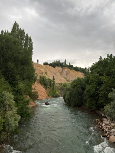 The image captures a view of a fast-flowing river, likely the Chatkal River, in Khumsan, Uzbekistan. The river's water is a murky green with white rapids indicating its speed. On the left bank, dense green foliage lines the water, while the right bank features a rocky shore and more lush vegetation. Behind the river, a steep, arid hillside dominates the background, characterized by eroded soil in shades of brown and ochre. Scattered trees and some sparse vegetation grow on the hillside. The sky is overcast with heavy, gray clouds. In the middle of the river, a dark, waterlogged piece of wood or debris is visible. A few small structures, possibly houses, are perched on the upper part of the hillside. The overall impression is a natural landscape under a cloudy sky.