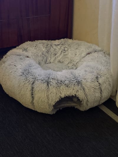 A grey, fluffy, donut-shaped pet bed is positioned partially on a dark blue or grey fabric-covered surface, possibly a couch, and partially on a dark wooden surface, likely a floor or a piece of furniture. The top edge of the bed is partially under a light-colored or white surface. The location in the city of Лесной Пейзаж Кп (шарапово), Russia is unknown.