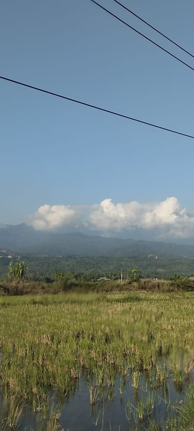 This image depicts a rural landscape under a clear blue sky with scattered white clouds. In the foreground, a flooded rice paddy is visible, with tall green rice stalks emerging from the water. A dry grassy embankment separates the paddy from a line of trees and vegetation further back. Beyond the trees, rolling hills covered in dense green foliage rise, leading to distant mountains. The mountains are partially obscured by clouds and haze. Power lines are strung across the top of the frame. The scene is tranquil and appears to be located in a rural area of Bateiiliek, Indonesia. There are no people or animals visible in the image.