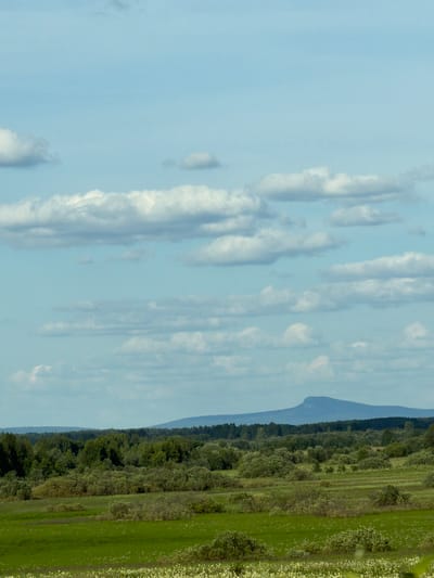 This media file depicts a landscape scene, oriented vertically. The sky occupies the left portion of the frame, filled with scattered white and gray clouds against a pale blue backdrop. The right side of the image features a lush green field with small white flowers interspersed. Beyond the field, a dense line of trees forms a dark green border, transitioning to a hazy blue mountain range in the far distance. The overall impression is one of a serene, natural environment. The scene suggests a daytime setting, possibly late afternoon or early evening, given the soft lighting and the presence of clouds. There is no visible text or any indication of human presence or activity. The location context provided, Ryabinino, Russia, places this natural landscape in a specific geographical area.