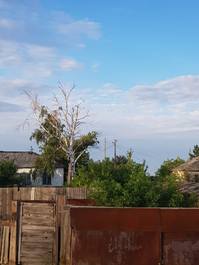 The image depicts a rural outdoor scene under a blue sky with scattered white clouds. In the foreground, a weathered wooden fence runs horizontally across the lower half of the frame, with a section of a wooden gate visible on the left. Behind the fence, the scene opens up to reveal a cluster of green trees and foliage. A small, dilapidated building with a gray, tiled roof and visible windows is partially obscured by the trees. A prominent, partially bare birch tree with white bark stands to the right of the building, its branches reaching upwards. Further back, the roof of another building, possibly a house, is visible, and power lines stretch across the sky, supported by wooden poles. The overall impression is one of a rustic, undeveloped area, likely a village or countryside setting within the Dölön Aul District of Kazakhstan. No people are present in the image.