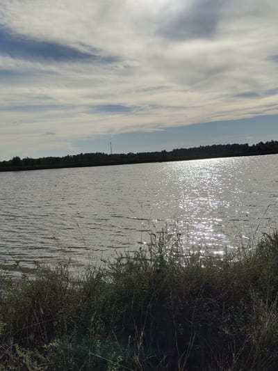 The image depicts a body of water, likely a lake or reservoir, with a dense line of trees forming the background horizon. The water surface is rippled and reflects the sunlight, creating a shimmering effect. In the foreground, there is a thick growth of vegetation, including bushes and tall grasses. The sky above is partly cloudy, with some areas of blue sky visible between the clouds. The overall scene suggests a natural, outdoor environment. There are no people or animals visible in the image. The location is identified as Uleematang, Indonesia.