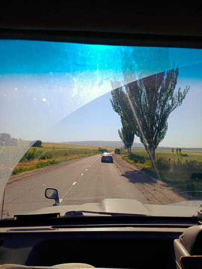 The image shows a view from inside a vehicle, looking out through the windshield at a rural road. The road is asphalt and has white dashed lines marking the lanes. A dark-colored car is driving ahead on the road. On either side of the road are fields of green and yellow vegetation, with some trees visible. Two tall, slender trees with dense green foliage stand prominently on the right side of the road. In the distance, there are rolling hills under a clear blue sky. The sun is shining brightly, indicating it is daytime. Reflections on the windshield, including what appears to be the interior of the vehicle and the sky, are visible. The overall scene suggests a road trip through a countryside landscape in a sunny climate. There is no visible text in the image. The location context is Arashan, Kyrgyzstan.
