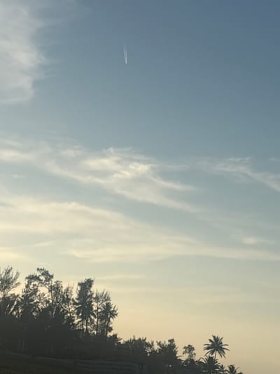 An airplane's contrail stretches vertically in the pale blue sky above a silhouetted line of trees and foliage against a soft yellow and blue gradient sky. The trees, primarily palm trees and other tropical vegetation, form a dark, jagged edge across the bottom of the frame, suggesting a coastal or seaside location. The scene is captured at a distance, emphasizing the vastness of the sky and the natural landscape. The image appears to be a photograph taken outdoors. The location is identified as the city of Casitas, Mexico.