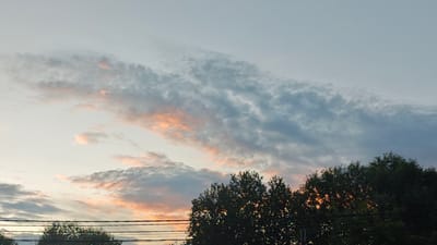 The image depicts a scenic view of the sky above Щапово, Russia, during what appears to be sunset or sunrise. The sky is filled with a mix of soft pastel colors, predominantly pale blue and hues of orange and pink. Wispy clouds, tinged with the warm tones of the setting or rising sun, are stretched across the sky in elongated bands. The lower part of the image features the dark silhouettes of trees, their foliage dense and reaching upwards. Several horizontal power lines are visible in the foreground, stretching across the frame and partially obscuring the trees. The overall atmosphere is tranquil and serene, evoked by the gentle colors of the sky and the quiet stillness of the scene. There is no visible text in the image.
