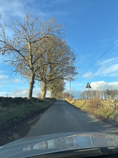 The image displays a narrow, wet asphalt road in Fowlis Easter, United Kingdom, under a bright blue sky with scattered white clouds. The perspective is from inside a vehicle, with reflections of the scene visible on the dashboard/hood in the foreground. A dry stone wall borders the left side of the road, behind which a line of bare deciduous trees, characteristic of late autumn or winter, extends into the distance. A large utility pylon is faintly visible in the far left background. The right side of the road is also bordered by a dry stone wall and sparse, dry vegetation. A wooden utility pole supports overhead power lines that run diagonally across the upper right. A black triangular road sign with a white border is mounted on a metal post on the right verge. No individuals are present.