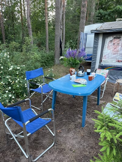 This image depicts an outdoor scene at a campsite, possibly in Ozerki (Krasnodolinskaya), Russia, during daylight hours. A blue plastic table is set up with two blue folding chairs on either side, facing the table. On the table, there is a silver teapot, several mugs, a loaf of bread in a plastic bag, a green cutting board, and a knife. A vase with purple lupine flowers and white wildflowers sits on the table as well. To the right of the table, a portion of a white caravan or RV is visible, with a tent awning extended. Through a window in the caravan, a person's face is visible, appearing to be behind a protective covering. In the background, tall pine trees and dense green foliage create a wooded environment. A clothesline with laundry is strung between trees near the caravan. The ground is covered with dirt, pine needles, and dry leaves. To the right foreground, a small evergreen tree is partially visible. The overall atmosphere suggests a moment of relaxation or meal preparation at a campsite.
