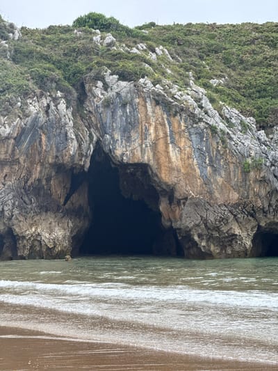 A wide, horizontal shot captures a dramatic seaside cave entrance on a cloudy day. The cave, carved into a rugged cliff face, is a deep, dark opening with weathered rock formations surrounding it. The cliff itself is a mix of grey and brown rock, streaked with mineral deposits and covered in patches of green vegetation near the top. Below the cliff, the ocean water is a murky green, with gentle waves lapping at a sandy beach in the foreground. The beach appears wet and reflects the overcast sky. The image is taken from the perspective of someone standing on the beach, looking towards the cave. The scene evokes a sense of natural grandeur and mystery, characteristic of the coastal landscapes around Llanes, Spain.
