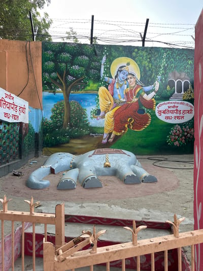 The image captures a mural in Mathura, India, featuring a painting of Radha and Krishna, adorned with a yellow halo, swinging amidst a backdrop of trees, water, and a small structure. To the right of the mural is a dismembered gray elephant statue. Below the painting, inscriptions in Hindi are visible, "प्राचीन कुबलियापीड हाथी वध-स्थल" (Ancient Kubaliyapid Elephant Slaughter Place), and "कुबलियापीड हाथी वध महोत्सव समिति (रजि.) मथुरा" (Kubaliyapid Elephant Slaughter Festival Committee (Reg.) Mathura). An orange metal ladder-like structure is partially visible on the right side of the frame. In the upper left corner, a section of barbed wire is seen.