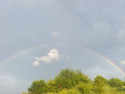 An arc of a rainbow spans the sky over a treeline of lush green foliage and tall grasses. The sky is overcast with a light gray hue, dotted with wispy white clouds. The foreground is dominated by vibrant green vegetation, with some dry, yellowed grass mixed in. The scene appears to be a natural landscape, possibly a park or countryside, with no visible structures or people. The image captures a serene moment after rain, indicated by the presence of the rainbow. The location is stated as Yaroslavsky, Russia.