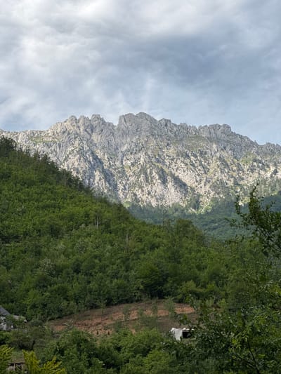 The image depicts a rugged, rocky mountain range with a dense, green forest in the foreground. The sky above is overcast with scattered clouds. The lower portion of the image shows a hillside with some trees and a small structure. Based on the provided context, this scene is located in Raško, Montenegro.