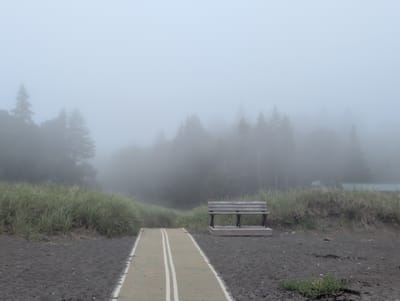 The image depicts a foggy scene on a beach. In the foreground, a dark, sandy beach leads to a pathway made of light-colored material with two white stripes running down its center. To the right of the pathway, a wooden bench with dark legs sits on a wooden platform. Behind the beach and pathway, a dense area of tall, green grass is visible, beyond which a forest of trees can be seen shrouded in thick fog. The fog creates a hazy atmosphere, obscuring the details of the trees and the sky. The overall environment suggests a secluded and atmospheric outdoor location. There are no people or animals present in the image.
