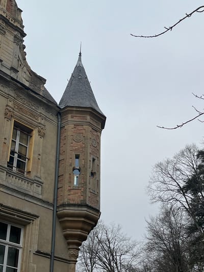 The image displays an exterior view of an architectural structure located in Bagnoles de l'Orne Normandie, France, under an overcast grey sky. The scene focuses on a section of a building featuring a prominent octagonal turret.
The main building facade, partially visible on the left, is constructed of light brown or beige material, possibly stucco or stone, and exhibits ornate architectural detailing around its windows and upper sections. An open, rectangular window with a visible wooden interior frame is present on the main facade.
The octagonal turret is built with reddish-brown brick, featuring decorative lighter stone or stucco elements. It contains small, recessed windows; one is an elongated rectangle, and another below it is circular, both with white frames. A dark figure, consistent with a person's head and shoulder, is partially visible leaning out of one of the turret's lower windows. A dark vertical drainpipe runs down the side of the building, connecting to the turret. The turret's base is supported by an ornate, multi-layered stone corbel. The turret is capped by a conical roof covered in dark slate tiles, culminating in a slender metallic spire at its apex. Several decorative hooks or finials are visible at the base of the turret roof.
In the background, particularly on the right side of the frame, are numerous bare deciduous tree branches and the darker foliage of evergreen trees, all silhouetted against the pale, diffused light of the sky. A distinct bare tree branch extends into the upper right quadrant of the image.