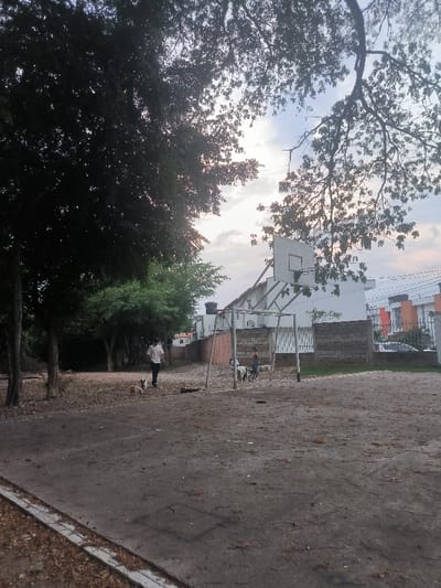 The image depicts an outdoor recreational area in Villa del Rosario, Colombia, under overcast or diffused natural lighting. The foreground features a large expanse of unpaved, dark earth, appearing dusty with scattered dry leaves and debris. A concrete curb marks the lower left edge. In the midground, a male individual wearing a white short-sleeved shirt and dark pants walks left-to-right across the dirt path, accompanied by a small, light brown dog to his left. Further right, near a rudimentary sports setup, another individual, obscured by distance and angle, interacts with at least three dogs, primarily white with dark spots. This sports setup includes a metal frame structure that appears to be a soccer goal, topped by a white basketball backboard and hoop.
Behind the sports equipment, a low grey concrete wall with white vertical metal fencing separates the recreational space from a residential area. Visible above and beyond the wall are multiple white residential buildings with dark or orange-tiled roofs. One building features a black water tank on its roof. Utility lines are discernible against the sky. The left side of the frame is dominated by large, dark-leaved trees, silhouetted against the sky, their branches extending into the upper left. Another large tree extends branches from the upper right, partially obscuring the sky. The sky is partly cloudy, with lighter areas near the horizon suggesting either early morning or late afternoon.