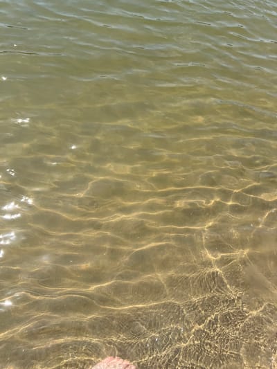 The image shows a close-up, eye-level view of shallow, calm water. The water is a murky green-brown color, and sunlight penetrates the surface, creating shimmering patterns and reflections on the sandy bottom. The sand appears to be light brown and slightly silty. In the lower right corner of the frame, a small portion of a person's foot is visible, with the toes slightly submerged in the water. The surrounding environment is not visible, but the presence of the foot suggests a person is in or near the water. There are no discernible landmarks or architectural elements to indicate a specific location within Indiya, Moldova.