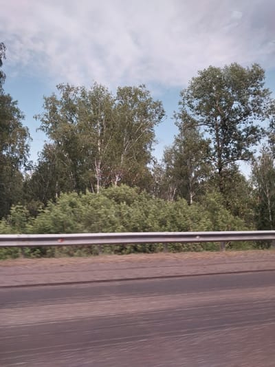 This media file depicts a view from a moving vehicle, likely a train, looking out a window. The scene captures a lush, green forest with numerous trees, predominantly birches with their characteristic white bark, lining the tracks. The trees are dense, with foliage creating a vibrant green canopy. A glimpse of the sky is visible above, with some light clouds suggesting a daytime setting, possibly late afternoon or early evening.
To the right of the trees, a portion of the train car's interior is visible, specifically a section of the wall with vertical paneling. This paneling appears to be made of wood or a wood-like material, with a muted, textured finish. A metal railing or support structure runs vertically along the left edge of this interior section, separating it from the window view. The perspective suggests the camera is positioned on a slight downward angle.
The overall impression is one of a scenic journey through a wooded area in Russia, possibly in or around the village of Баюновские Ключи, as indicated by the location context. The image conveys a sense of movement and a peaceful observation of the natural landscape passing by. There is no visible text within the frame.