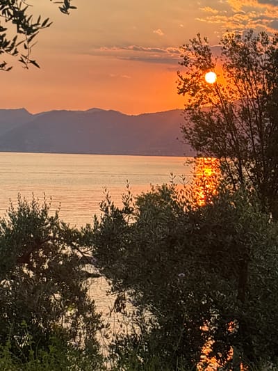 The image depicts a sunset over a body of water, likely Lake Garda, given the reference to the city. In the foreground, there are branches and foliage of olive trees. The middle ground shows a calm body of water reflecting the warm colors of the sunset, with a distinct shimmering reflection of the sun. In the background, there are hills or mountains silhouetted against the vibrant orange and pink sky. The sun itself is partially obscured by the leaves of a tree in the right side of the frame, creating a dramatic sunburst effect. There are no people or animals visible in the image. The scene is tranquil and evokes the natural beauty of a sunset by the lake.