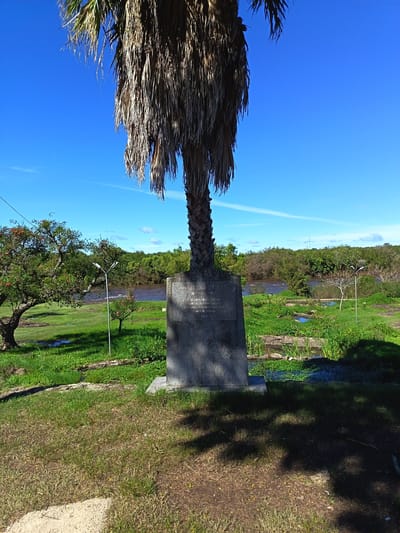 The image depicts a monument situated in Termas del Daymán, Uruguay. The monument is a gray stone structure with an inscription. A tall, withered palm tree grows directly out of the top of the monument. The monument is positioned on a grassy area, and there's a body of water in the background. Trees and shrubs line the opposite bank of the water. The sky is blue, and there are shadows cast by the monument and tree onto the ground.