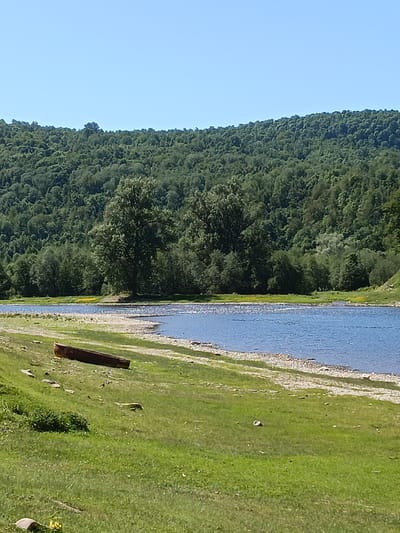 The image shows a riverside landscape, likely in a rural area. A body of water, possibly a river or a wide stream, occupies the midground. The water is blue and reflects the clear sky. A grassy bank slopes down to a gravelly shoreline. A small, weathered, wooden boat lies on the grass. The opposite bank is densely wooded with green trees, extending to the horizon and covering a low-lying hill. The sky is clear and blue. The photograph appears to have been taken during the day in bright sunlight. The specific location is Gabdyukovo, Russia.