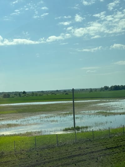 The image shows a flooded field in what appears to be a rural area. To the left is a blue sky with scattered clouds. The flooded field occupies the right side of the image. There are fence posts intermittently along the edge of the field. It is impossible to verify the location as Сапуголи, Russia from this image.