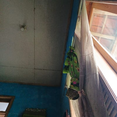 The image shows the interior of a room in Pameungpeuk, Indonesia, located at latitude -7.641 and longitude 107.728. The room has a plain, grey ceiling with a light fixture visible. The walls are painted a bright blue. A window to the right is partially open, with a white sheer curtain hanging from the top. A green and white fabric with floral patterns hangs from the curtain, with the fabric draped over the window frame. Another window is visible to the left, but is not in focus.  A small, partially visible green object is on the floor to the left of the frame.