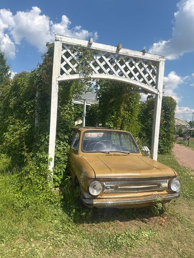 An abandoned, mustard-yellow, classic Soviet-era car is parked under a white wooden pergola overgrown with ivy. The car, a ZAZ 966 or 968, shows signs of rust and neglect, with a cracked windshield. The pergola is also weathered and partly obscured by the lush greenery. The scene is set outdoors with a bright blue sky dotted with white, puffy clouds. Tall green grass and small wildflowers surround the car and the base of the pergola. To the right, a red brick pathway is visible, leading into the distance where other structures, possibly gazebos or benches, are faintly discernible. The overall impression is one of rural abandonment and nature reclaiming man-made structures. This scene is located in the village of Dal'nie Prudishchi, Russia.