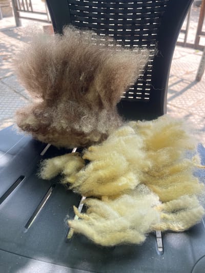 A close-up, high-angle shot shows two piles of raw wool on a black plastic chair outdoors in Sadovo, Bulgaria. The wool on the left is a large, fluffy mound of brown and light yellow fibers. To the right, a smaller pile of lighter yellow wool lies scattered across the chair's seat. The background is blurred, showing a paved area and the latticed back of the chair. The lighting suggests it is daytime, with sunlight casting shadows.