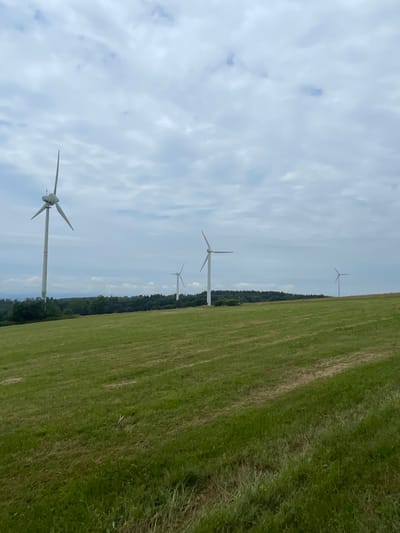 The image depicts a landscape featuring multiple wind turbines situated in a grassy field under a cloudy sky. The scene appears to be in the vicinity of Schwarzenborn, Germany, given the context. In the foreground, a green field is visible, with some areas appearing freshly cut or mown, indicated by lighter patches of grass. Several tall, white wind turbines with three blades each are distributed across the middle ground and background. The wind turbines are positioned on a slight incline leading up to a tree line that forms the horizon. Behind the tree line, a distant mountain range can be faintly observed. The sky is overcast with a mix of light and dark gray clouds, suggesting a temperate climate. There are no people or animals visible in the image.