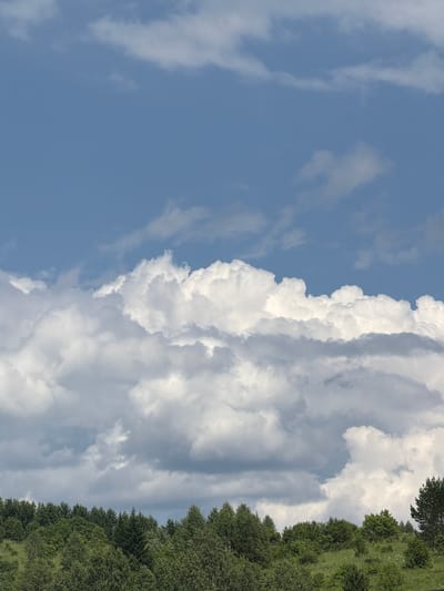 This is a vertical, landscape-oriented photograph taken outdoors. The frame is dominated by a bright blue sky filled with dramatic, white, puffy clouds. The clouds are particularly dense and voluminous on the right side of the image, forming a wall that recedes into the distance. To the far right, a line of dense green trees forms the edge of a hillside, suggesting a natural landscape. The lighting indicates it is daytime, likely midday or early afternoon, with the sun high in the sky. There is no visible text. The overall impression is one of a clear, sunny day with impressive cloud formations. The scene is devoid of human presence or man-made objects, focusing solely on the natural elements of sky and trees. The setting appears to be a rural or natural area, possibly a mountainous or hilly region given the treeline.