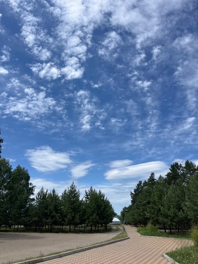 A bright, wide-angle shot captures a park area under a vibrant blue sky filled with scattered white clouds. In the foreground, a reddish-brown and beige patterned pathway curves from the bottom right towards the center of the image. To the left of the pathway is a sandy area, and beyond that, a dense row of dark green coniferous trees stretches across the midground. More trees, including what appear to be birch trees with lighter trunks, are visible on the far left. Further in the distance, a white tent-like structure can be seen, and a few small figures, appearing to be people, are walking along the pathway in the mid-distance. The scene suggests a summer day in an outdoor recreational area.