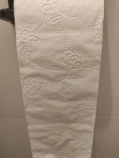 The image displays a close-up, vertical view of white, textured toilet paper with a floral embossed pattern, hanging from a black dispenser. The paper has perforations running horizontally across its width, indicating it is a roll. The background is a plain, light-colored wall, likely tiled, suggesting an indoor setting. The lighting is soft, casting subtle shadows that highlight the embossed design. The image does not contain any explicit information or visual cues that would allow for the determination of its specific location in Roeselare, Belgium. There are no people, animals, or identifiable landmarks present.