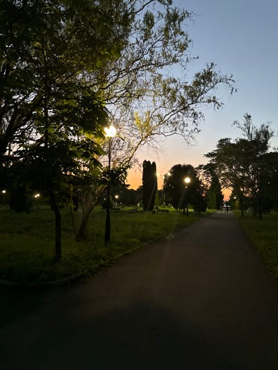 The image depicts a park at dusk in Endirei, Russia. A paved path runs diagonally through the scene, bordered by lush green grass and trees. Several people are visible walking in the distance on the path, silhouetted against the warm, orange glow of the setting sun. Streetlights dot the park, with one particularly bright light illuminating the leaves of a large tree in the foreground. The sky transitions from a clear, pale blue at the top to a soft, peachy hue near the horizon, indicating sunset. The overall mood is serene and tranquil, with the gentle light of dusk casting a peaceful atmosphere over the park. There is no visible text in the image.