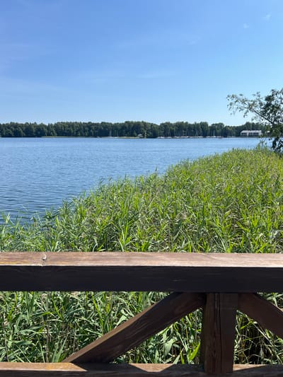 The image depicts a serene lake scene in Trakai, Lithuania, likely during daylight hours. In the foreground, a weathered wooden railing with visible grain and a dark stain creates a barrier. Beyond the railing, lush green reeds and tall grass dominate the immediate shoreline, their stalks swaying gently. The lake itself is a calm expanse of blue water, reflecting the clear, pale blue sky. On the far side of the lake, a dense line of green trees forms a natural border. Visible among the trees and on the water are numerous white sailboats moored along the shore, suggesting a harbor or marina. A white building with a dark roof is also partially visible amongst the trees on the right side of the frame. The overall impression is one of peaceful natural beauty.