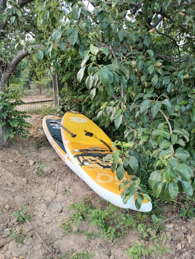 Two stand-up paddleboards are resting on the ground next to a tree with green leaves and some small fruits. One paddleboard is predominantly yellow with white accents and a black paddle resting on it, while the other is partially visible underneath, showing a dark blue deck pad with white lettering. The ground is dry and cracked, with sparse green vegetation growing in patches. A metal fence and a concrete post are visible in the background, partially obscured by foliage. The scene appears to be outdoors in a natural setting, possibly a yard or garden area. The image was taken in Kudashivka, Ukraine.