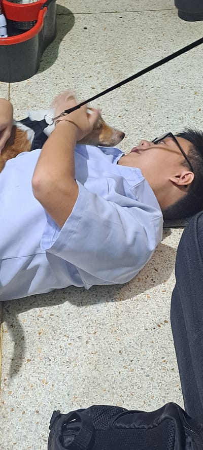 A young person wearing glasses and a light blue collared shirt lies on their back on a terrazzo floor. The person is looking upwards at a small dog, a Dachshund mix, which is positioned on their chest and abdomen, with its head near the person's face. The dog is wearing a black harness with a silver ring. A black leash extends from the harness, held by the person's right hand, and disappears out of frame to the upper right. In the background, a red and black mop bucket is visible. A black backpack or bag rests on the floor in the foreground. The scene appears to be indoors, possibly in a common area or a home. The lighting suggests it is daytime.