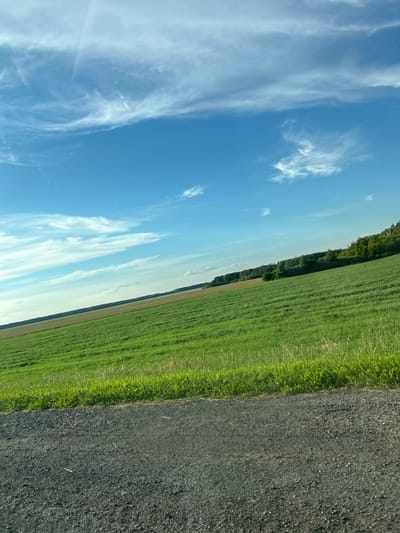 The image shows a rural scene in Karmaskaly, Russia, likely during the daytime under a bright sky. The composition is split into three distinct parts. On the left, a vibrant blue sky is dotted with wispy white clouds. In the middle, a vast, green field stretches towards a distant tree line, suggesting agricultural land. The field is neatly patterned, indicating it has been recently mowed or planted. On the right, a dark asphalt road runs parallel to the field, with a sharp division between the road and the grassy verge. The road surface appears to be coarse and dark gray, possibly a rural highway or a well-maintained track. The overall impression is one of a peaceful, natural landscape on a clear day. There are no people or specific objects visible, and no text is present. The lighting suggests it is either morning or late afternoon, with the sun casting a gentle glow on the scene.