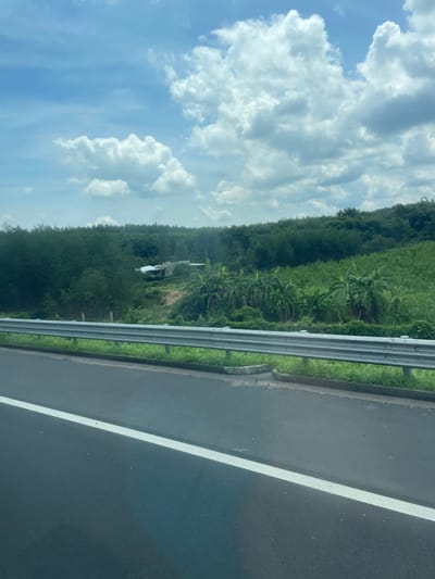 The image shows a view from a road, likely a highway, in Dong Nai City, Vietnam. The foreground features the asphalt of the road with a white lane marker. A silver metal guardrail separates the road from a grassy embankment. Beyond the embankment, a lush green landscape unfolds, characterized by dense foliage and scattered banana trees. In the middle ground, a small cluster of buildings, possibly a rural home, is nestled amongst the greenery. The background is dominated by a hill covered in a thick forest, with a partially cloudy sky overhead. The overall impression is of a scenic, rural environment.