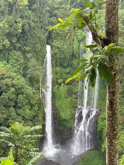A waterfall cascades down a lush, green hillside. Multiple tiers of water flow between dense vegetation. A tree branch with bright green leaves frames the top left corner. Other leafy plants are present in the lower right corner. The perspective seems to be from above, looking slightly down on the scene. The image is rotated 90 degrees clockwise.
